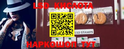 стафф Заволжье